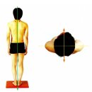 우리들척추운동센터 이미지