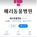 메리 동물병원 이미지