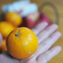 오서방네 농장 이미지