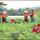 중산농원 이미지