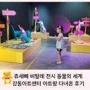 쥬세뻬 비탈레 전시 동물의 세계 강동아트센터 아트랑 다녀온 후기
