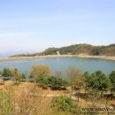 호명호수(제1주차장) 이미지