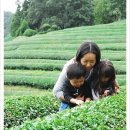 광양불고기(준서네) 이미지