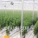 조성원예산지유통센터 이미지