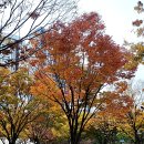 부산광역시청 이미지