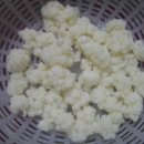 하얀버섯 이미지