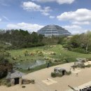 보발농장 | 프랑스여행 파리근교 프랑스동물원 보발동물원 ZooParc de Beauval, 아이와 프랑스여행 추천, 예약하기