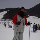 사조리조트