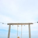 더 헤이븐(The Haven) 이미지