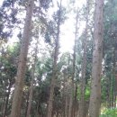 괴정농장 이미지