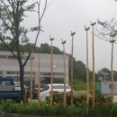 황가네식당 이미지