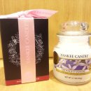 양키캔들 군산점 이미지