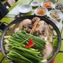 처가집 | 남한산성 계곡 닭백숙 맛집 처가집 추천 내돈내산 솔직후기