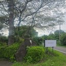 돔그라미 | 제주 표선 숙소 <돔그라미 펜션> 내돈내산 방문 후기