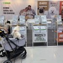 스타일펫 | 2025 케이펫페어 수원 시즌3 펫박람회 첫날 관람후기 주차방법