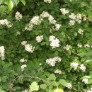 한길공원 이미지