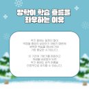 김영화영어학원