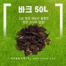 바크 이미지