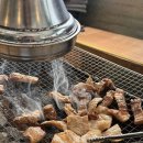 시골찌개마을 | 공주 동학사 맛집, 참숯마을가든 삼겹살 구이와 김치찌개 제대로 먹고 온 추천 후기