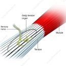 운동과학연구센터 이미지