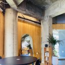 체리애견 이미지