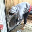 드릴씨 이미지