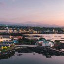 눈먼고래 이미지