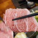 눈꽃참치