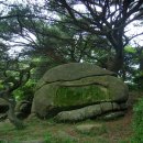 신전1구 | [권태명의 현지르뽀]신들의 고향 기이산지(紀伊山地) – 일본신도와 불교의 성지