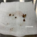 창생동물병원 이미지