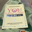 대저119안전센터 12003 | [쌍둥이 임신 25주] 쌍둥이임산부의 일상, 해운대백병원 임당검사 후기