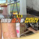 여름철, 습기의 습격을 막아라! [천기누설] 이미지