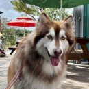 Mong9Mong9Haus 이미지