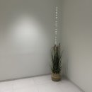 수완 탑 보청기 이미지