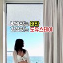 스테이도유 이미지