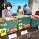 청송이사과