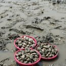 종현농어촌체험휴양마을 이미지