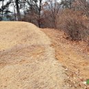 광주세종 이미지