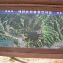 식장산 독수리봉 등산(食藏山登山) 이미지