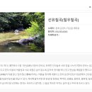 2026년 6월 경북 문경 선유동계곡 이미지