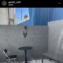 가젤(GaZeLL) 네이버블로그