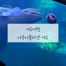 유래블 이미지
