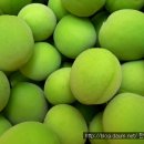 한민농장 이미지