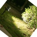 아름다운쇼핑나라 이미지