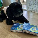 뉴케어 동물병원 이미지