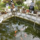 대구대학교 특수교육대학원 이미지