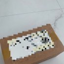 와이보틀 이미지