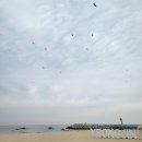 영진해수욕장 네이버블로그