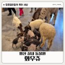 노루와사슴유치원 | 부산근교 양산 아기랑 갈만한곳 먹이체험 실내 동물원 와우쥬 방문 후기