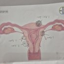 테라산부인과의원 이미지